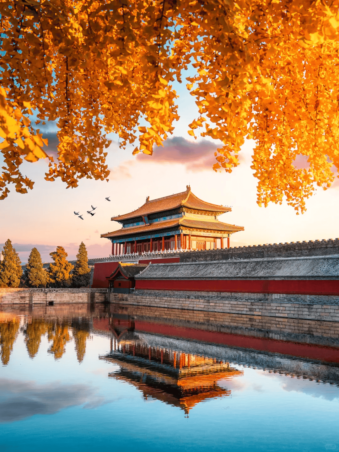 社按你的节奏逛北京只服务您一家人开元棋牌北京信誉好的私人订制旅行(图2)