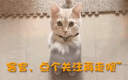 跌落神坛曾红极一时如今仅剩14家店开元棋牌彻底退出！又一53年老字号(图12)