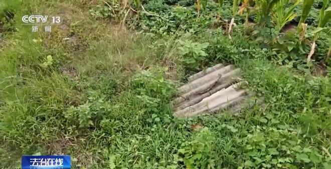 0余件国宝 特大盗墓案细节曝光开元棋牌试玩看小说学盗墓挖走2(图2) 0余件国宝 特大盗墓案细节曝光开元棋牌试玩看小说学盗墓挖走2(图2)