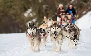 光你想都没想过的夏天！开元棋牌app滑雪看极(图2)