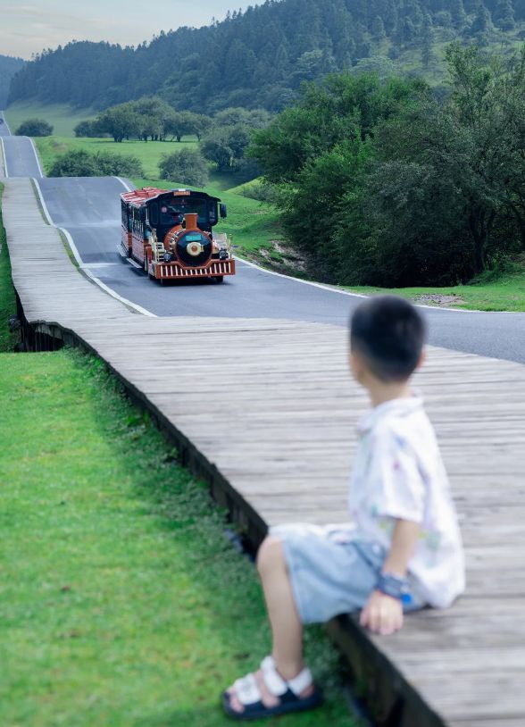 口碑旅行社：远胜游5A资质+文旅真实认证开元棋牌app2025口碑年终榜单！重庆(图6)