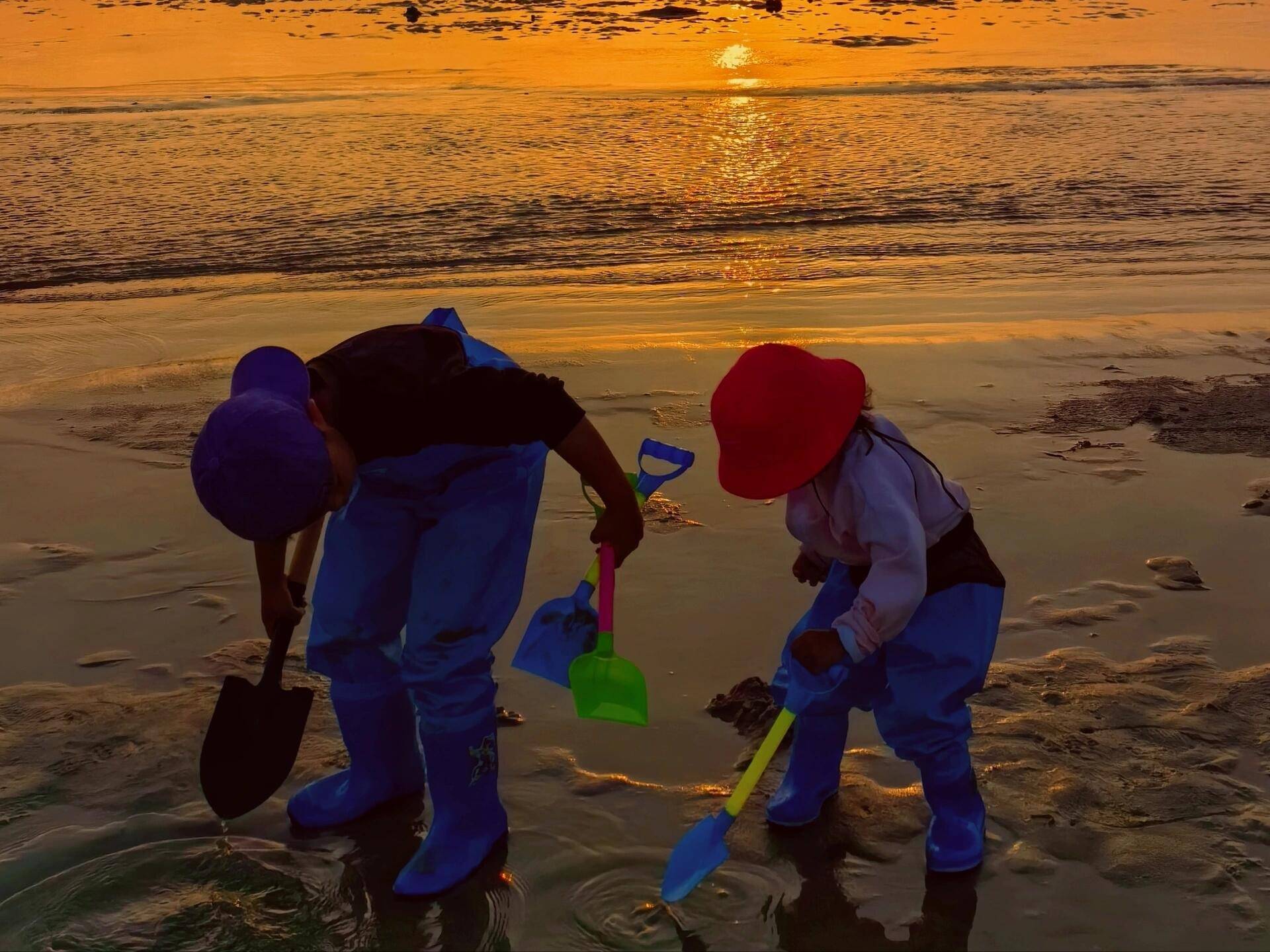 团测评和土楼南普陀鼓浪屿打卡自由行必备全攻略开元棋牌厦门旅游深度玩法详解指南结合厦门跟(图3)